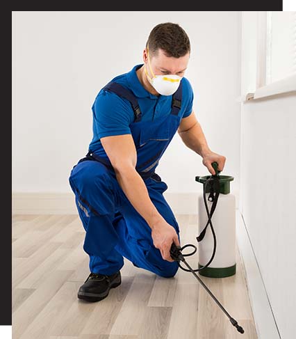 Pest Control Perth